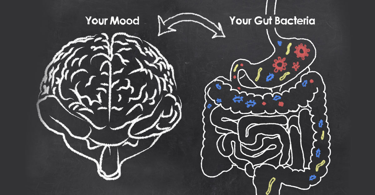 The Second Brain, AKA The Gut